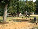 DSCF0841